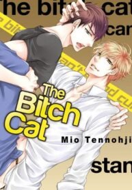 Bitch na Neko wa Dokusenyoku ni Aragaenai